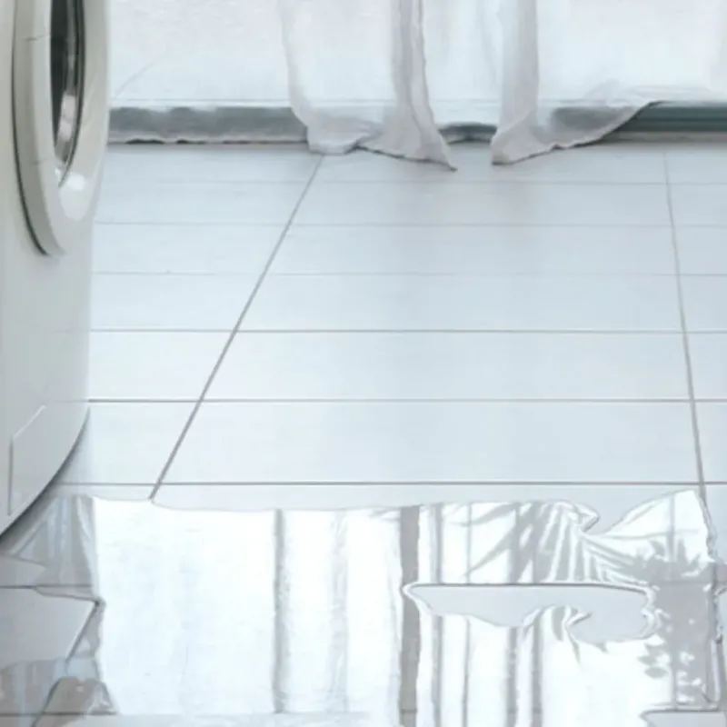 Appliance Leak Cleanup in Norris City, IL