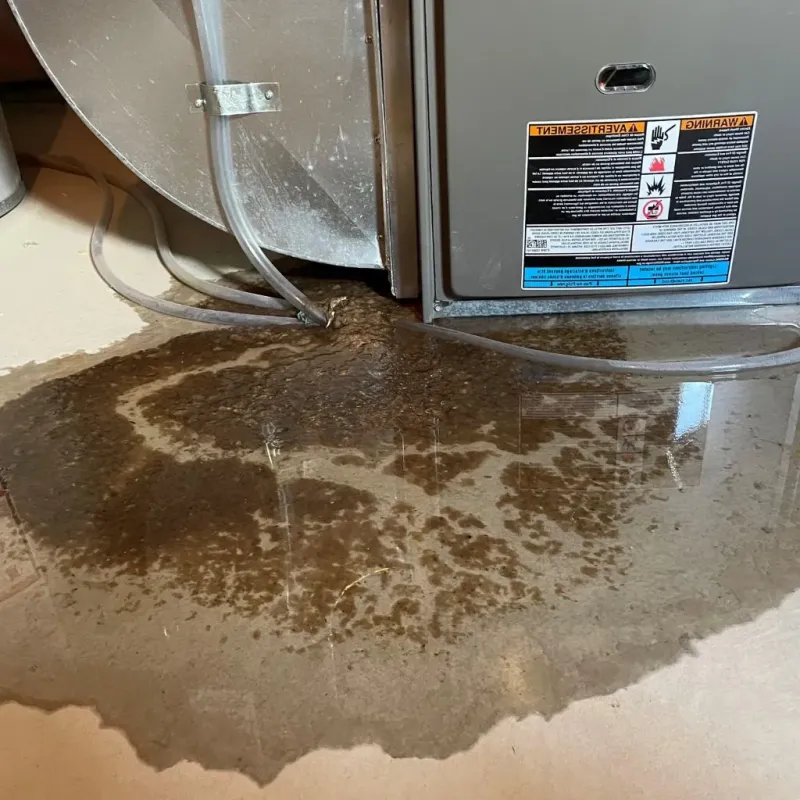 Pipe Burst and Leak Restoration in Norris City, IL