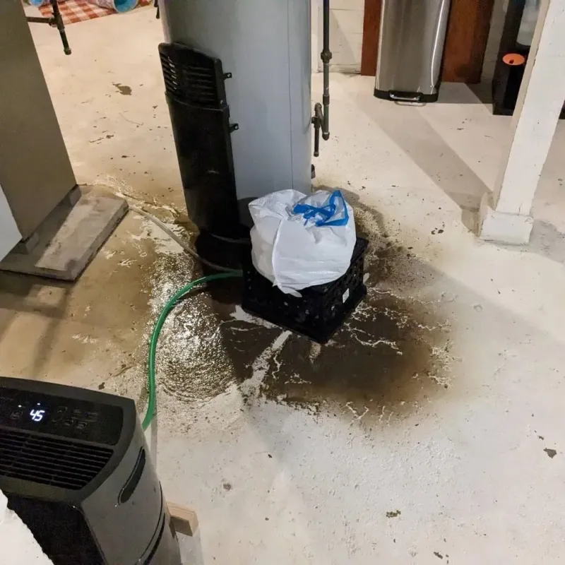 Sewage Backup Cleanup Service in Norris City, IL